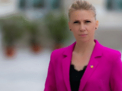 Raisa Enachi cere soluții concrete pentru accesul real la consiliere psihologică