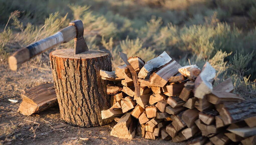 pret-lemne-de-foc