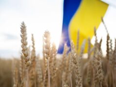 Doar 0,00008% din importurile agroalimentare din Ucraina sunt controlate în România