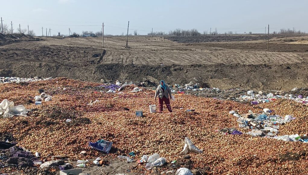 6d73d566-4681-48e5-be93-fce081f498eb