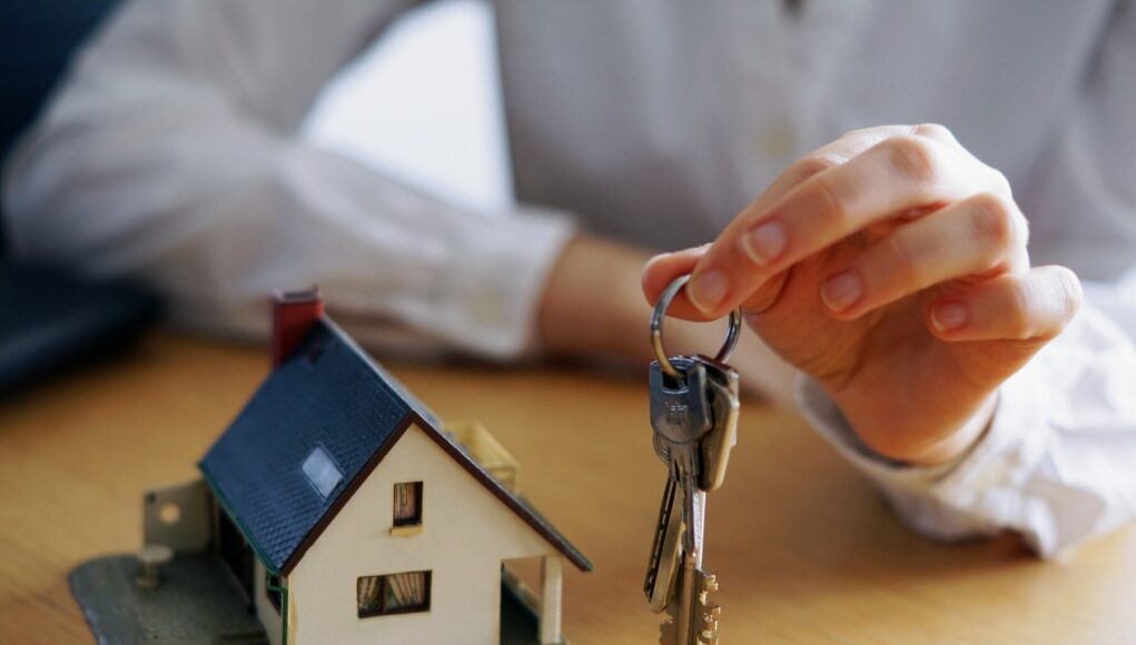 Piata-imobiliara-2025-scadere-accentuata-la-vanzarile-de-locuinte